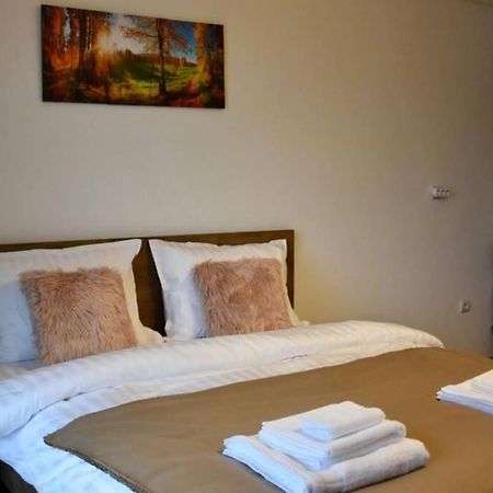 באיה מארה Pricop Residence מראה חיצוני תמונה