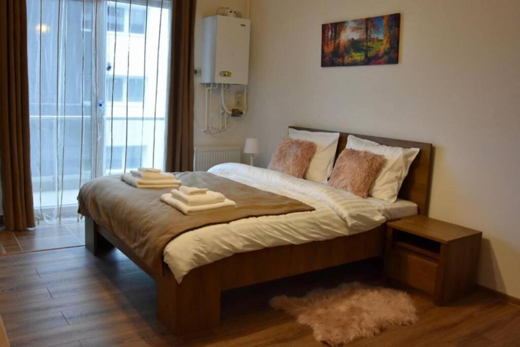 באיה מארה Pricop Residence מראה חיצוני תמונה
