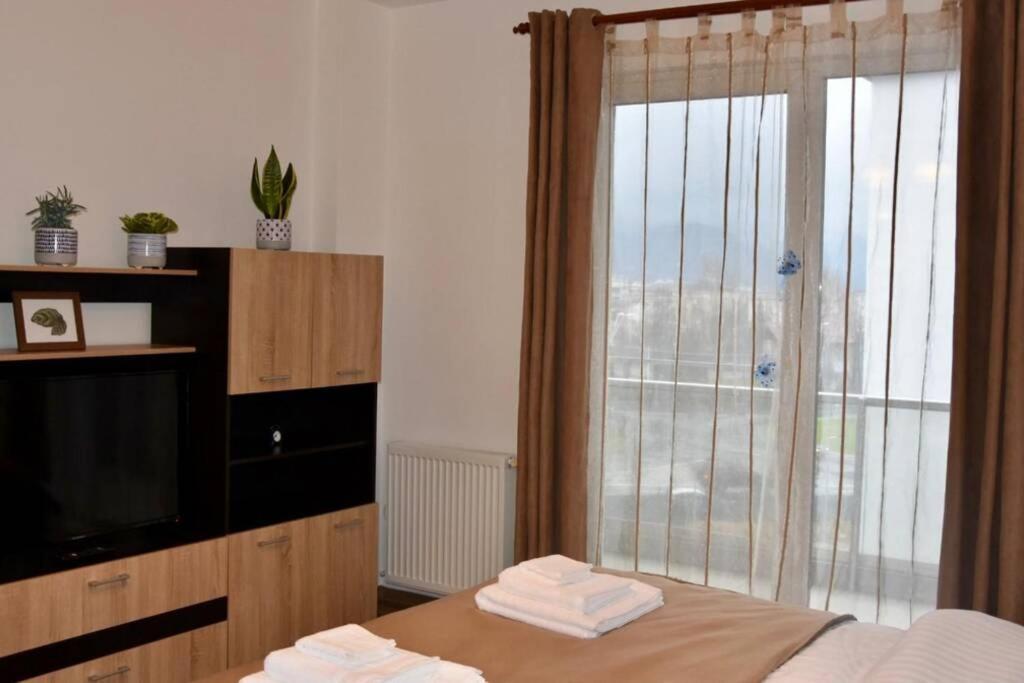 באיה מארה Pricop Residence מראה חיצוני תמונה