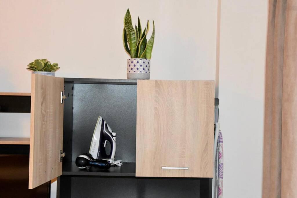 באיה מארה Pricop Residence מראה חיצוני תמונה
