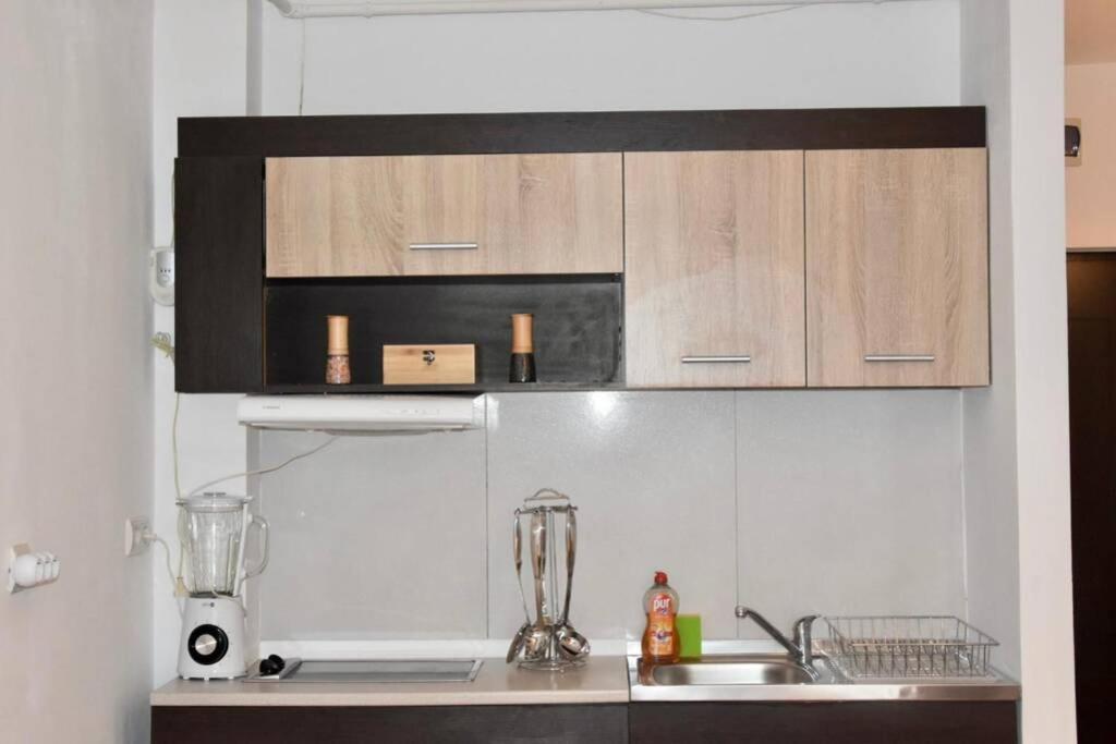 באיה מארה Pricop Residence מראה חיצוני תמונה