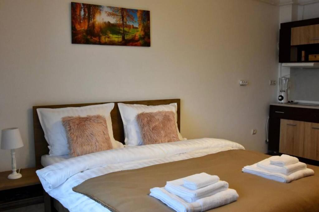 באיה מארה Pricop Residence מראה חיצוני תמונה